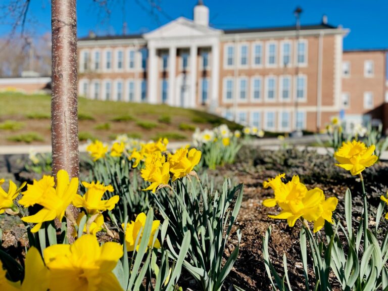 Town Hall of Watertown