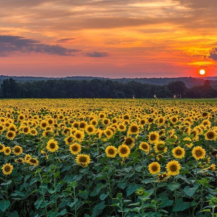 Town Hall of Griswold