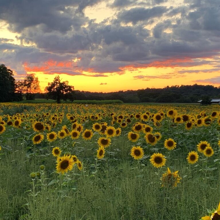 Town Hall of North Branford